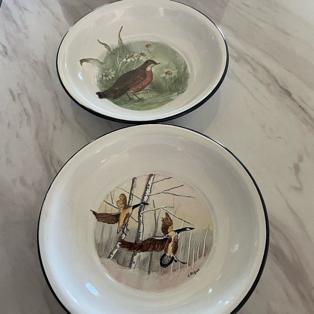 SET OF 2 VINTAGE PAINTED BIRD THEME ENAMEL SOUP/SALAD BOWLS